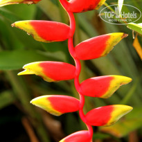 фото из отзыва ID 1415256