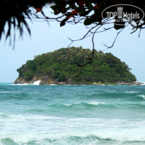 фото из отзыва ID 1415256