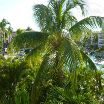 фото из отзыва ID 1415258