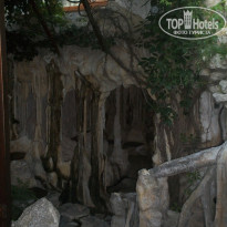 фото из отзыва ID 1415360