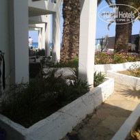 фото из отзыва ID 1415449