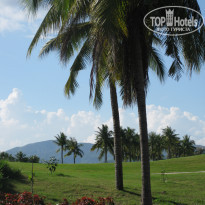 фото из отзыва ID 1415799