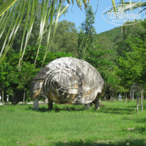 фото из отзыва ID 1415799