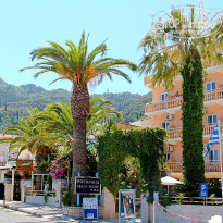 фото из отзыва ID 1415930