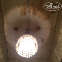 фото из отзыва ID 1415942