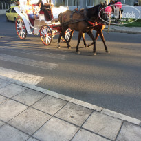 фото из отзыва ID 1416103