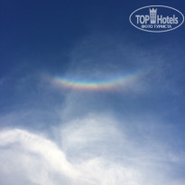 фото из отзыва ID 1416103