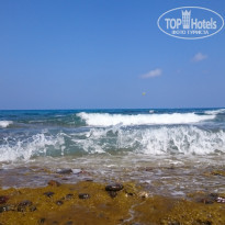 фото из отзыва ID 1416161