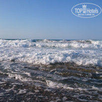 фото из отзыва ID 1416161