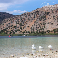 фото из отзыва ID 1416161