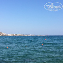 фото из отзыва ID 1416338