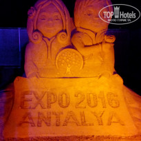 фото из отзыва ID 1416369