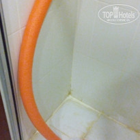 фото из отзыва ID 1416369