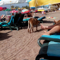 фото из отзыва ID 1416369