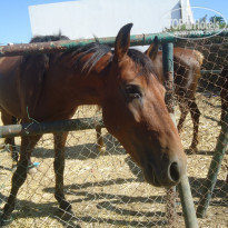 фото из отзыва ID 1416384