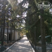 фото из отзыва ID 1416008