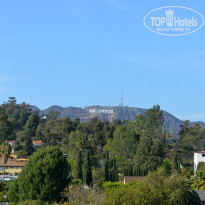 фото из отзыва ID 1416430