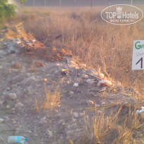 фото из отзыва ID 1416449