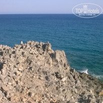 фото из отзыва ID 1416527