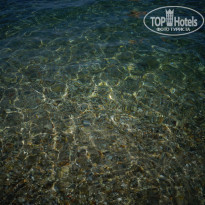 фото из отзыва ID 1416579