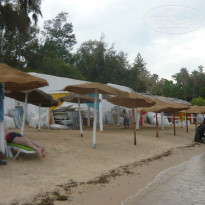 фото из отзыва ID 1416595