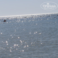 фото из отзыва ID 1416620