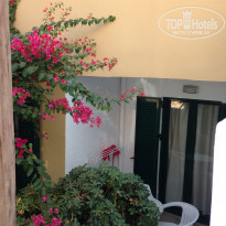 фото из отзыва ID 1416728