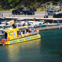 фото из отзыва ID 1416736