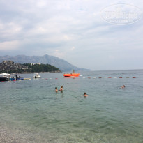 фото из отзыва ID 1416759