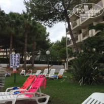 фото из отзыва ID 1416787