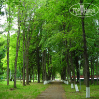 фото из отзыва ID 1416818