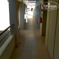 фото из отзыва ID 1416825