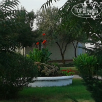 фото из отзыва ID 1417272