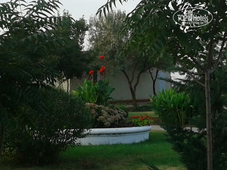 Солнечный берег