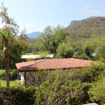 фото из отзыва ID 1417321