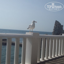 фото из отзыва ID 1417327