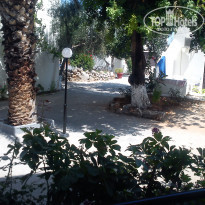 фото из отзыва ID 1417357