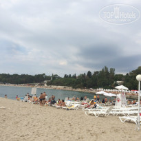 фото из отзыва ID 1417360