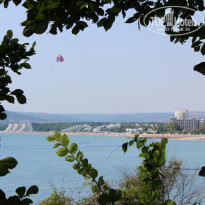 фото из отзыва ID 1417538