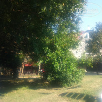 фото из отзыва ID 1417582