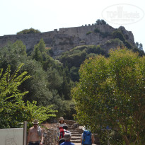 фото из отзыва ID 1417776