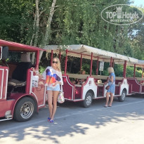 фото из отзыва ID 1417787