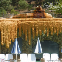 фото из отзыва ID 1417796