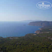 фото из отзыва ID 1417867