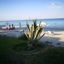 фото из отзыва ID 1418089