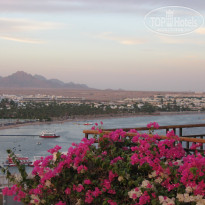 фото из отзыва ID 1418255