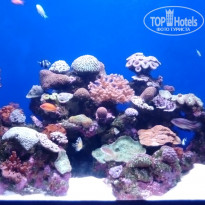 фото из отзыва ID 1418421