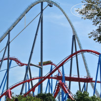 фото из отзыва ID 1418423