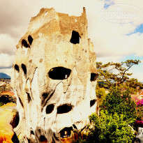 фото из отзыва ID 1418436