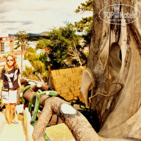 фото из отзыва ID 1418436